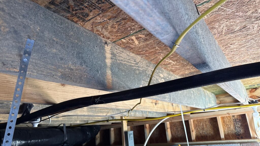 Mold removal and remediation Clayton NC